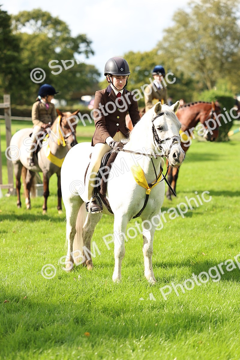 SBM_46363 - Working Hunter Pony Supreme Championship