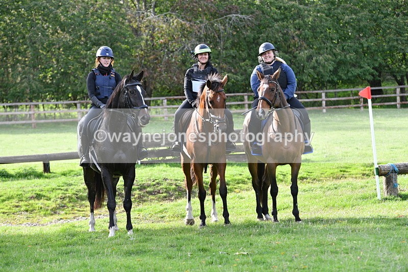 WJ5_1131 - Time 14:29 to 15:31