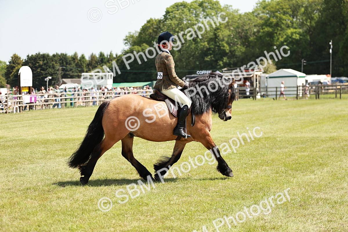 SBM_07067 - Class 26-30 - Mountain and Moorland Ridden