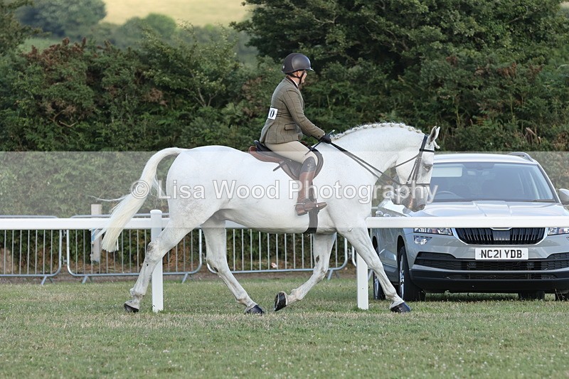 JPP_3512 - Class 22: Working Hunter 90cm