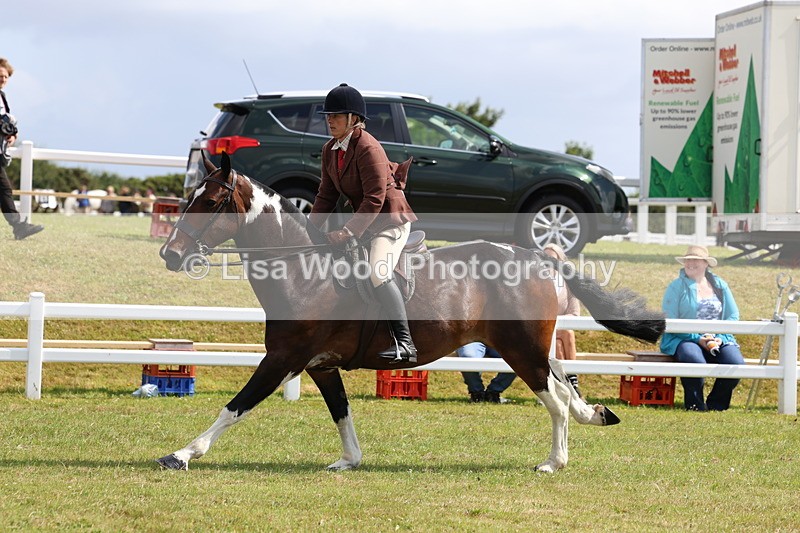 3E7A9797 - Class 5: Rising Star Lightweight/Heavyweight Cobs