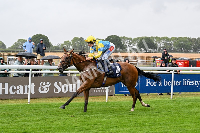 150725-Race 4-Without Flaw-0572 - Race 4