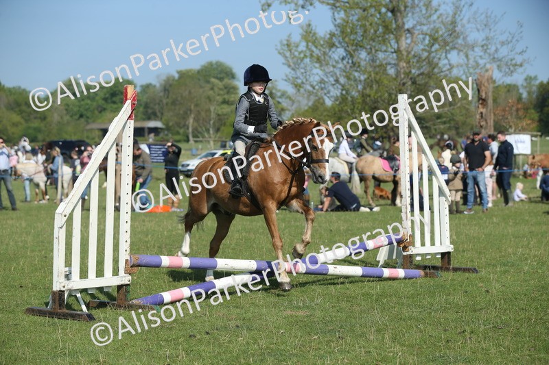 20250427-0940 - Class 1 - Mini Jumping Lead Rein or Assisted