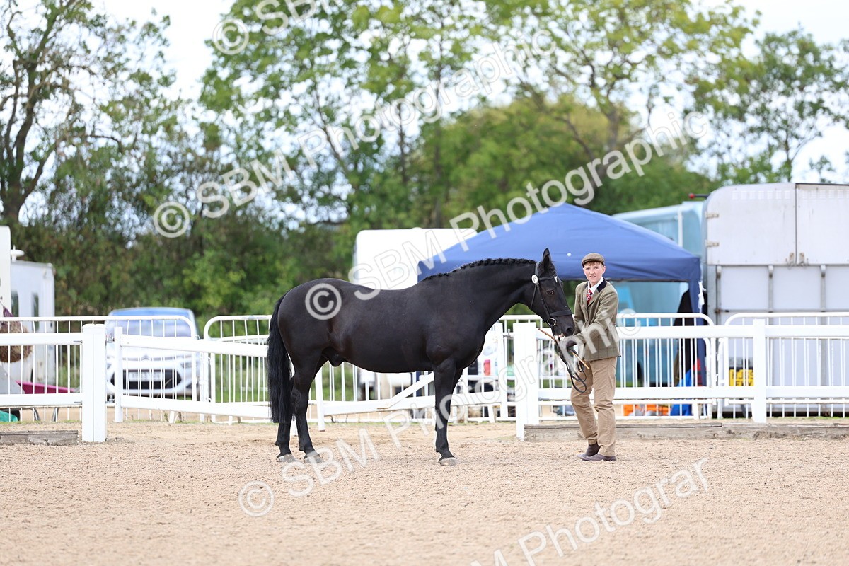 SBM_15351 - Class 312 - IH Competition Horse-Pony