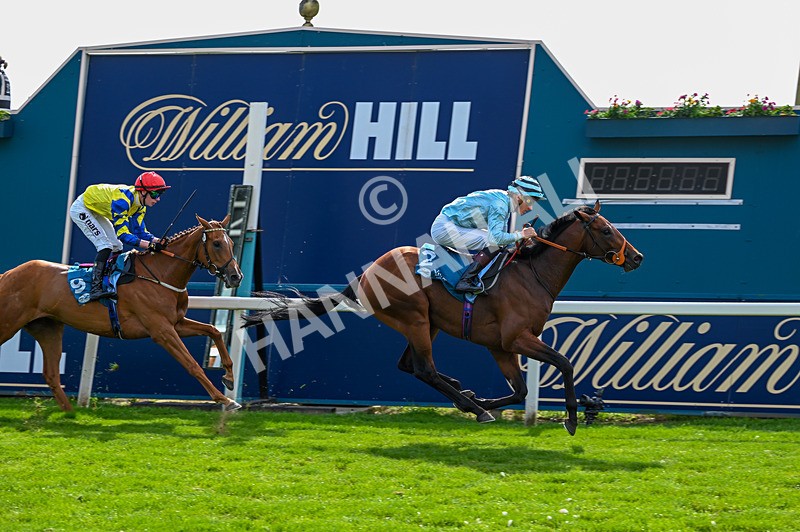 230526-Race 6-Pearl River-7766 - Race 6 16.25pm Royal Yorkshire Regiment Handicap