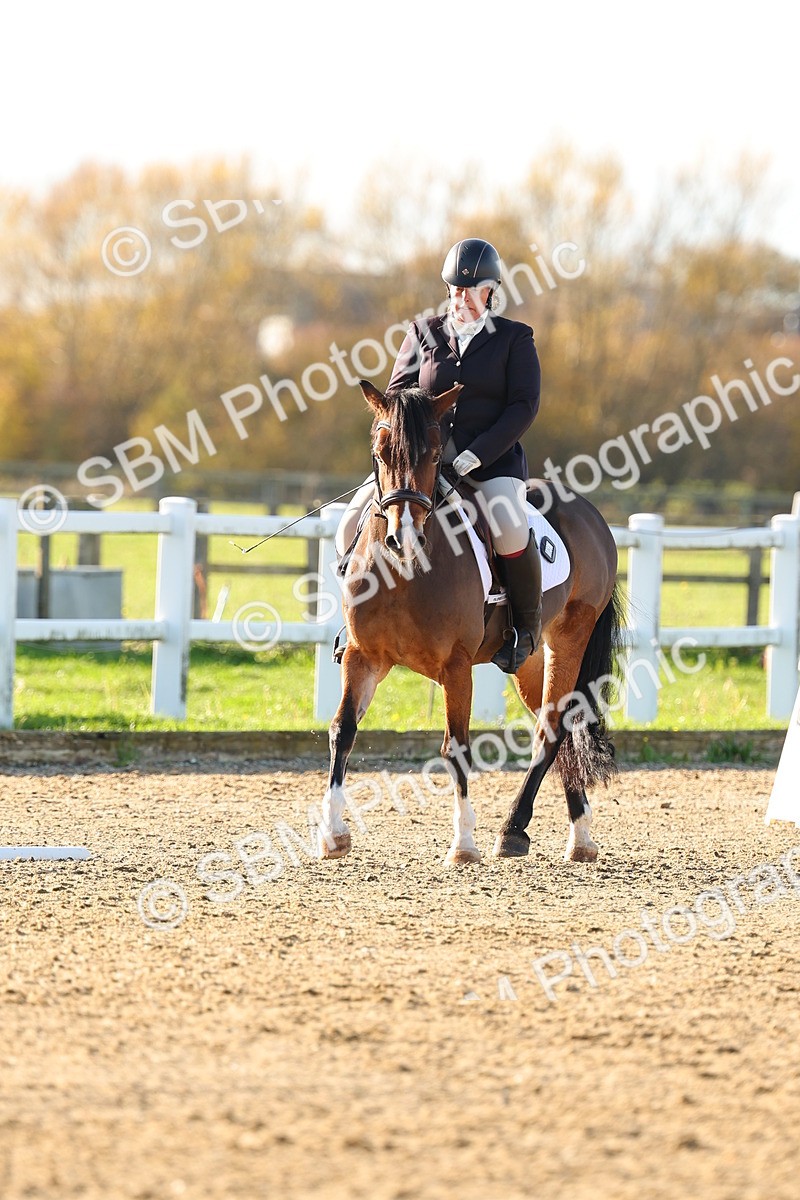 SBM_001668 - Medium 4