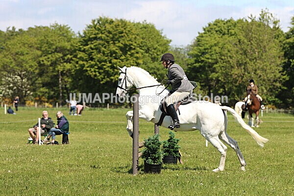 IMG_3986 - Working Hunter