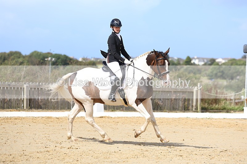 3E7A4141 - Class 9: Novice 6 Section B Championship