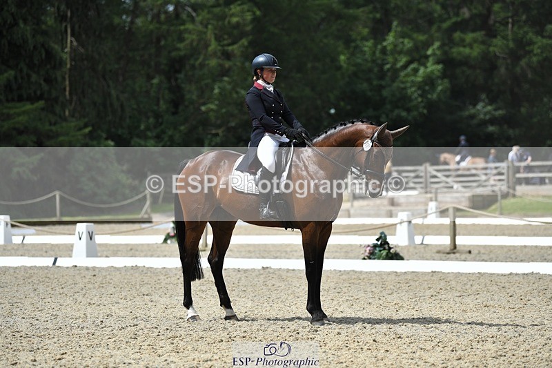 230525-113410-01861 - 101-INTERFIELDS_ABOUDDI-Saffron_Cresswell-WEDTrotUp+DR
