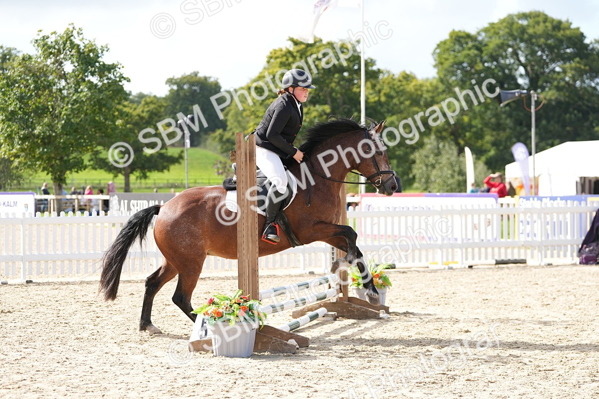 SBM_17761 - J58 - Clear Round 50cm