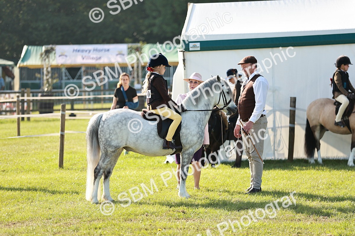 SBM_11125 - Class 106-107 - BSPS LIHS Working Sports Pony