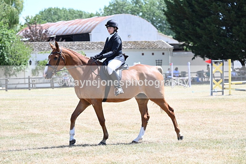 WJ7_2727 - Class 7 Riding Club Show Horse