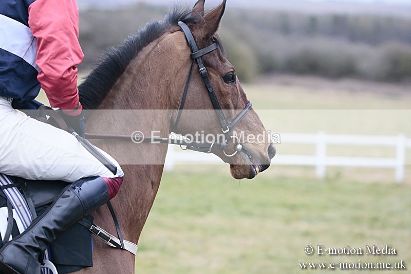 PtP 180218 482 - Combined Services Point-to-Point Larkhill 18/02/18