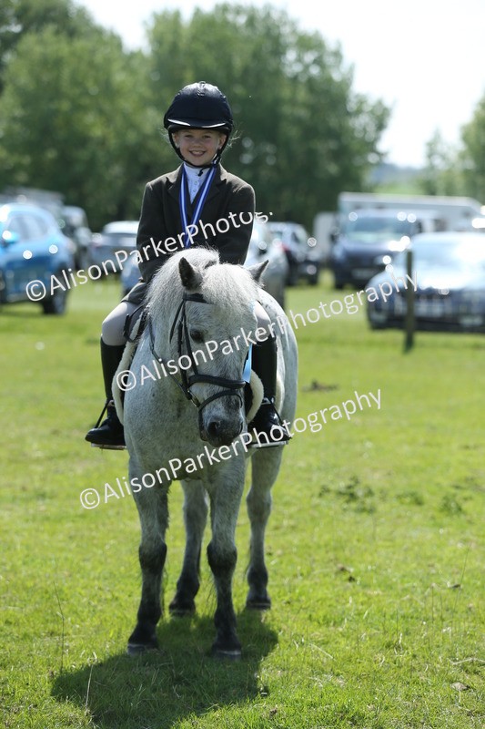 20250427-2777 - Class 6 - Pony Judge Would Most Like To Take Home