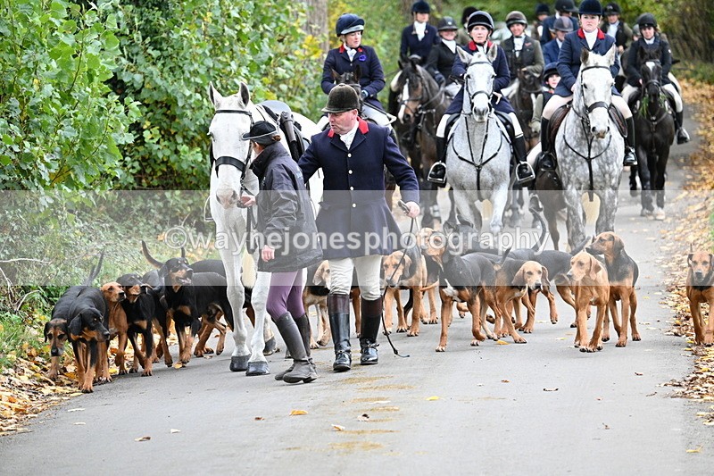 WJ7_7178 - Walk Home..