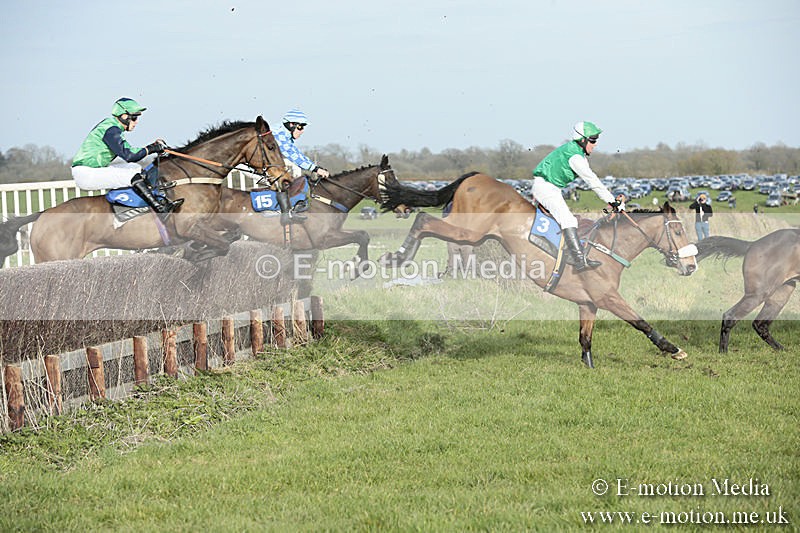 PtP 230319 484 - VWH Hunt Siddington Point-to-Point Racing 23/03/19