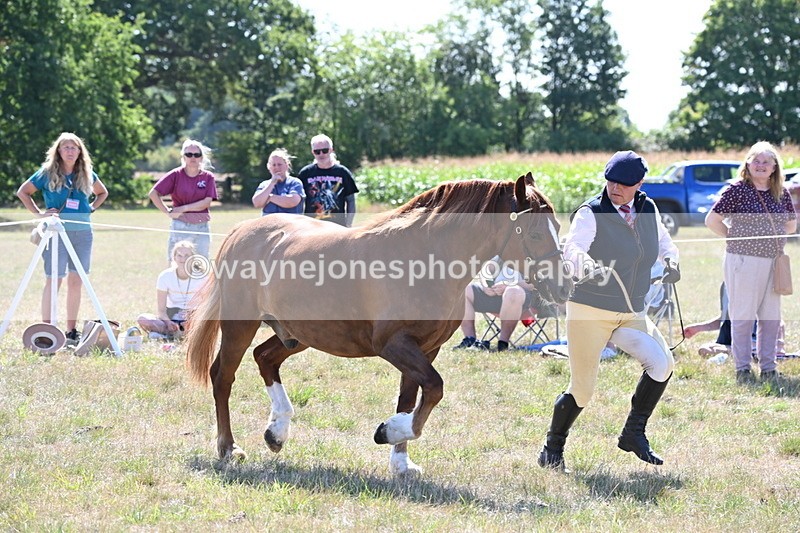 WJ6_4841 - Class 17 Mountain & Moorland
