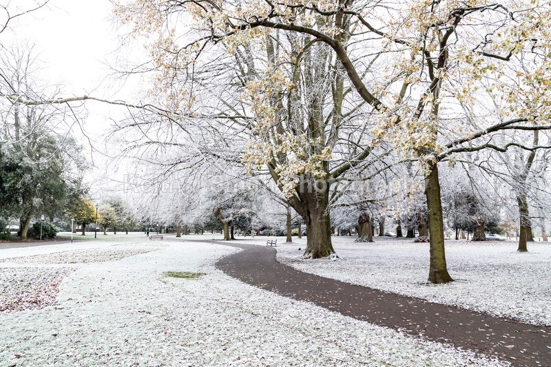 0KJS9332 - Trees in Abington Park