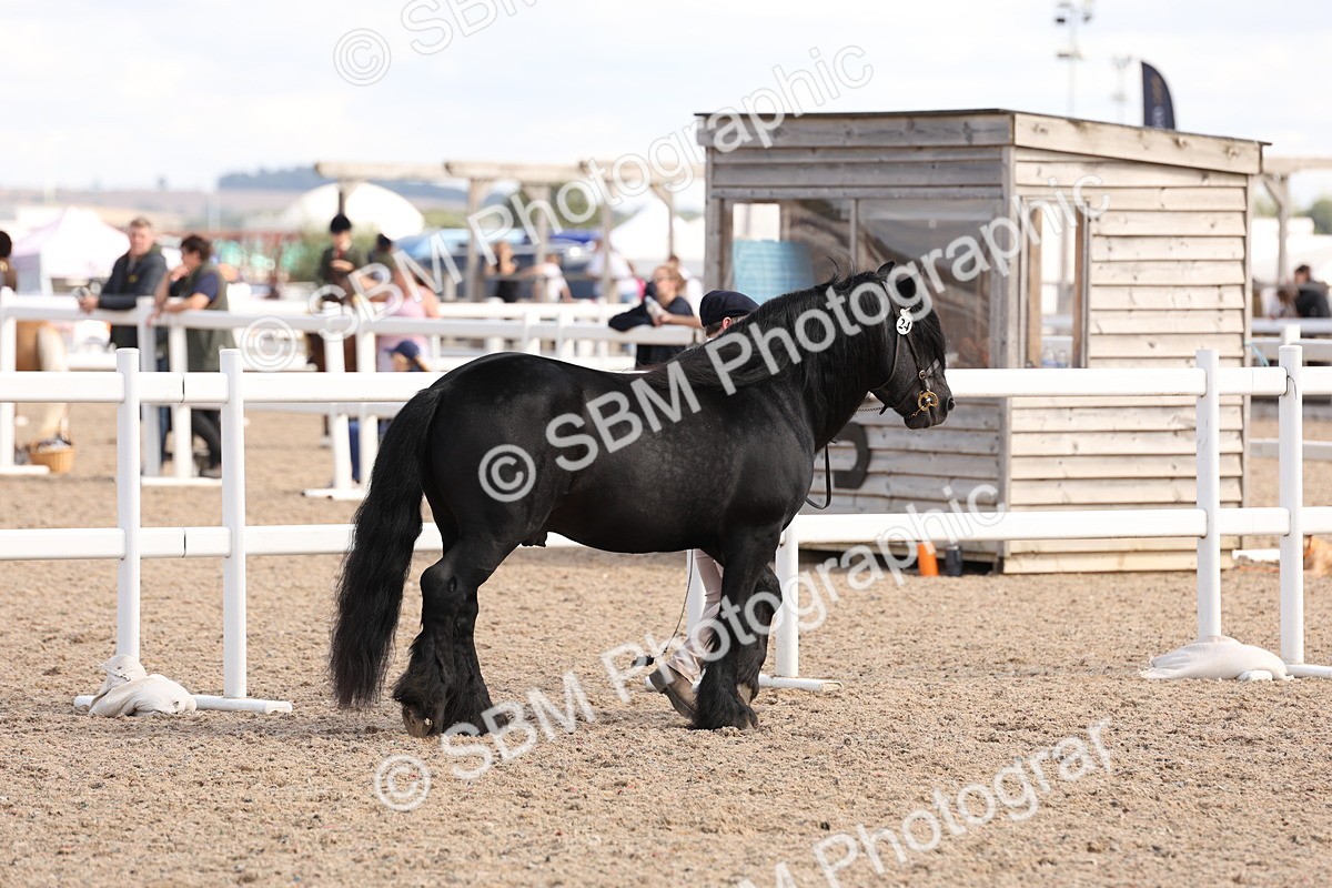 SBM_15026 - Class 209 - IH Veteran Pony