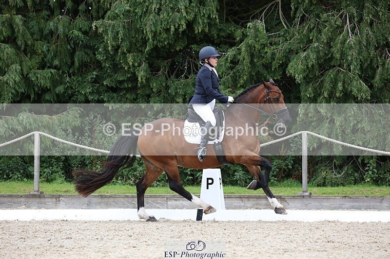 230812-142928-04432 - Cls 5 Novice Bronze 13.40 to 14.45 break