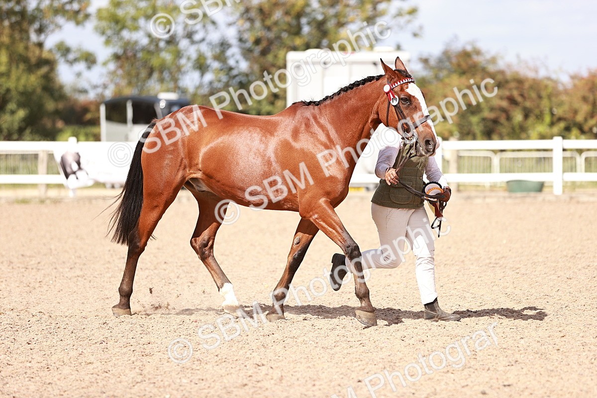 SBM_23032 - Class 707 - IH groom Helpers Class