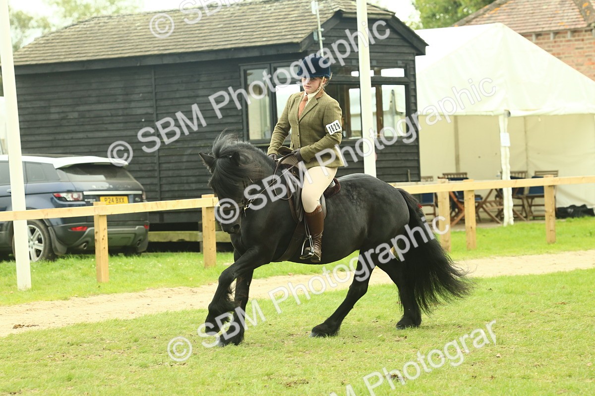 SBM_71933 - S60 - Mountain & Moorland Ridden Large Breeds