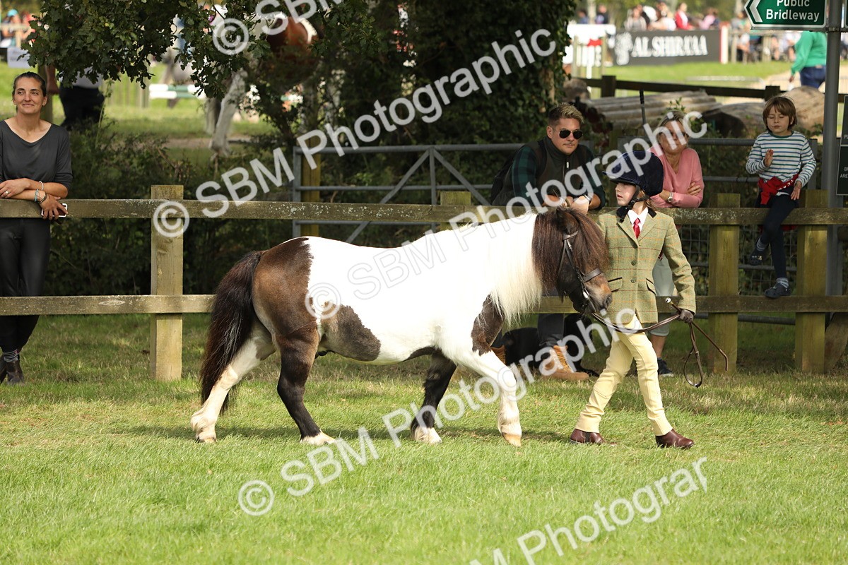 SBM_67675 - S39 - Junior Handler 8  Years & Under