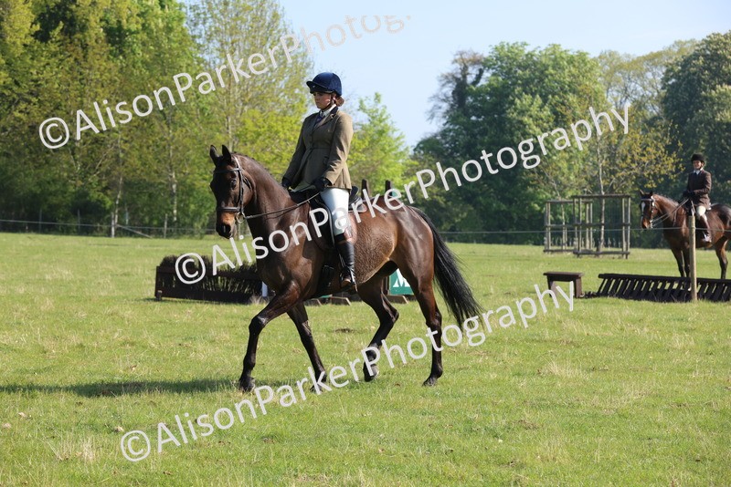 20250427-0556 - Class 17 - Novice Showing