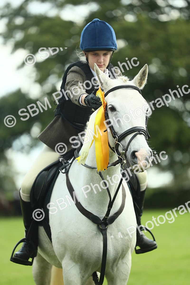 SBM_42235 - S29 - Novice & Newcomers Working Hunter Pony