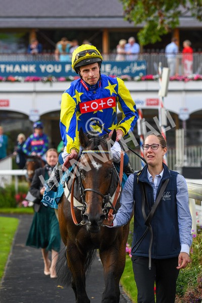 260823-Race 7-Astro King-1101 - Race 7 Sky Bet Finale Handicap at York