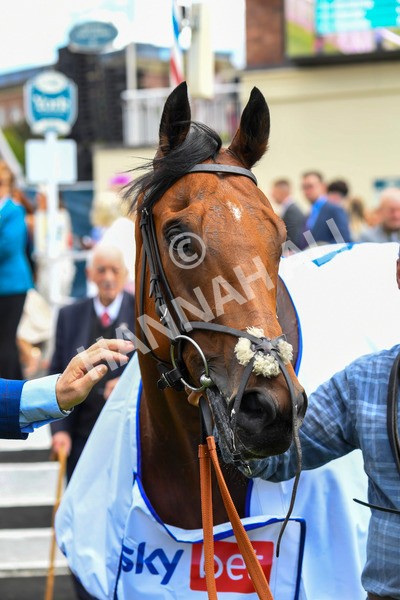 290723-Race 1-Soul Seeker-0348 - Race 1 2.05pm Sky Bet 'Jump Jockeys' Nunthorpe' Handicap