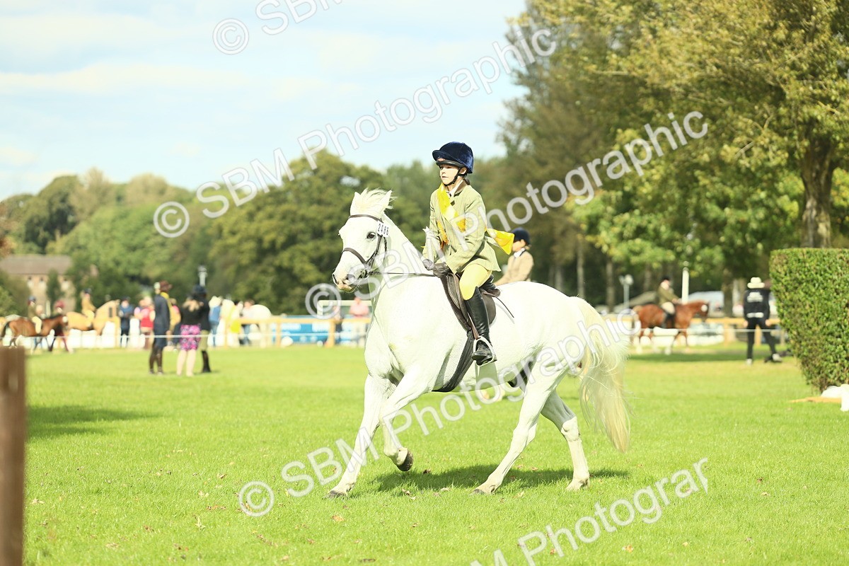 SBM_45043 - Working Hunter Pony Supreme Championship