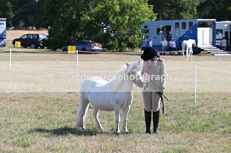 WJ6_4354 - Class 16 Condition & Turn Out