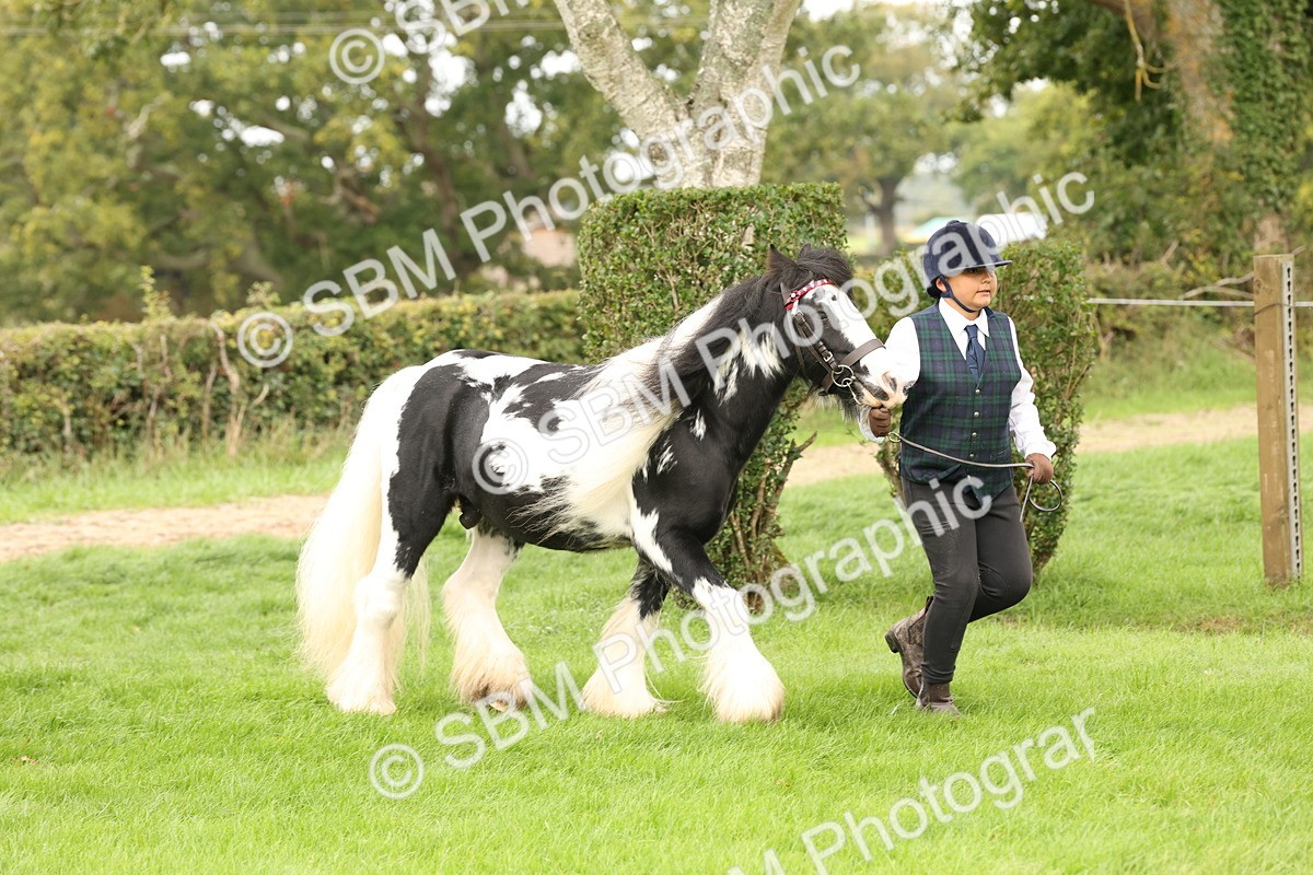 SBM_59273 - S57 - Traditional Cob In Hand