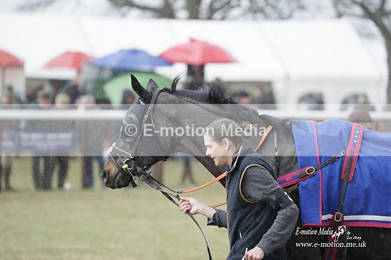 PtP 180323 1056 - Shelfield Park Races with Croome & West Warwickshire Hunt  18/03/23
