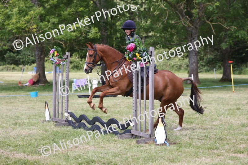 20260614-1856 - Class 21 - Novice Working Hunter Pony