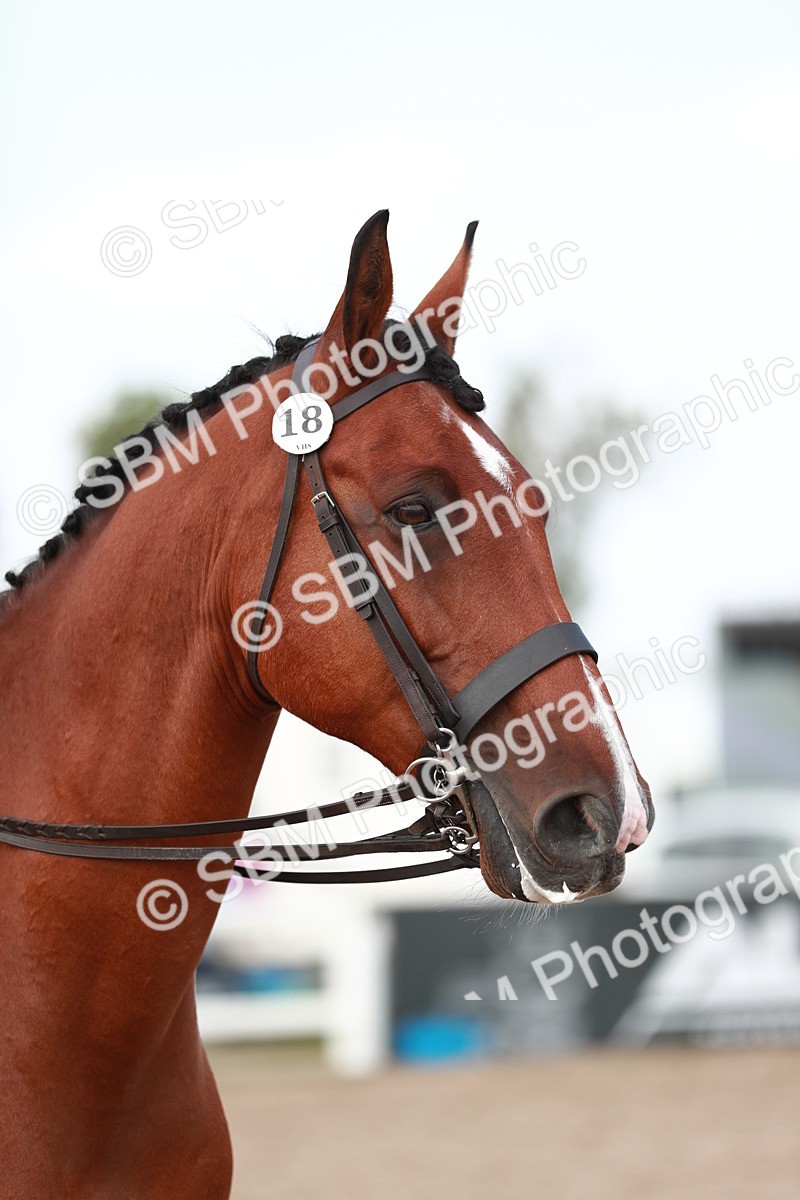 SBM_15515 - Class 213 Ridden Hunter -Large