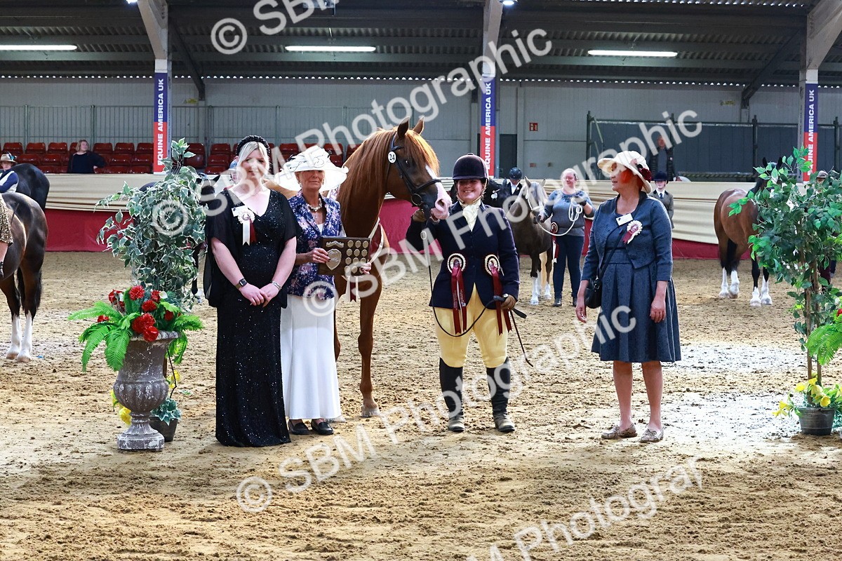 SBM_22429 - Class 902 - Supreme Final - IH Diamond