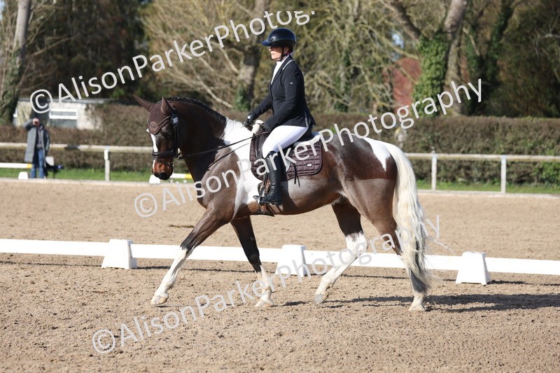 20260214-0512 - Class 5 - Novice 3