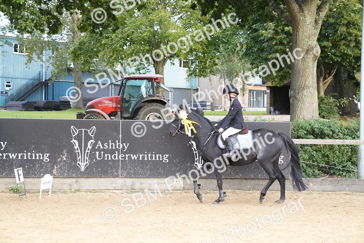 SBM_74961 - J4 - Mini Tour Junior Pony 45cm Championship