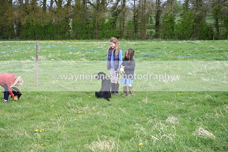 WJ6_8031 - Class 2 Best Pedigree