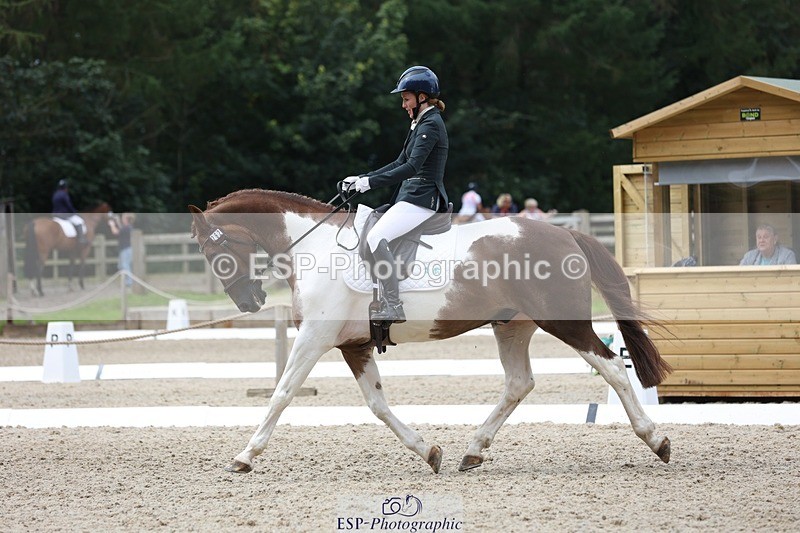 230812-121200-03956 - Cls 5 Novice Bronze 11.15 to 12.50 break