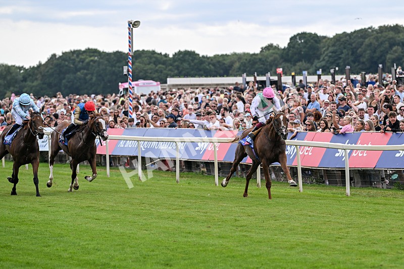 250726-Race 3-Item-7041 - Race 3 14.35pm Sky Bet York Stakes