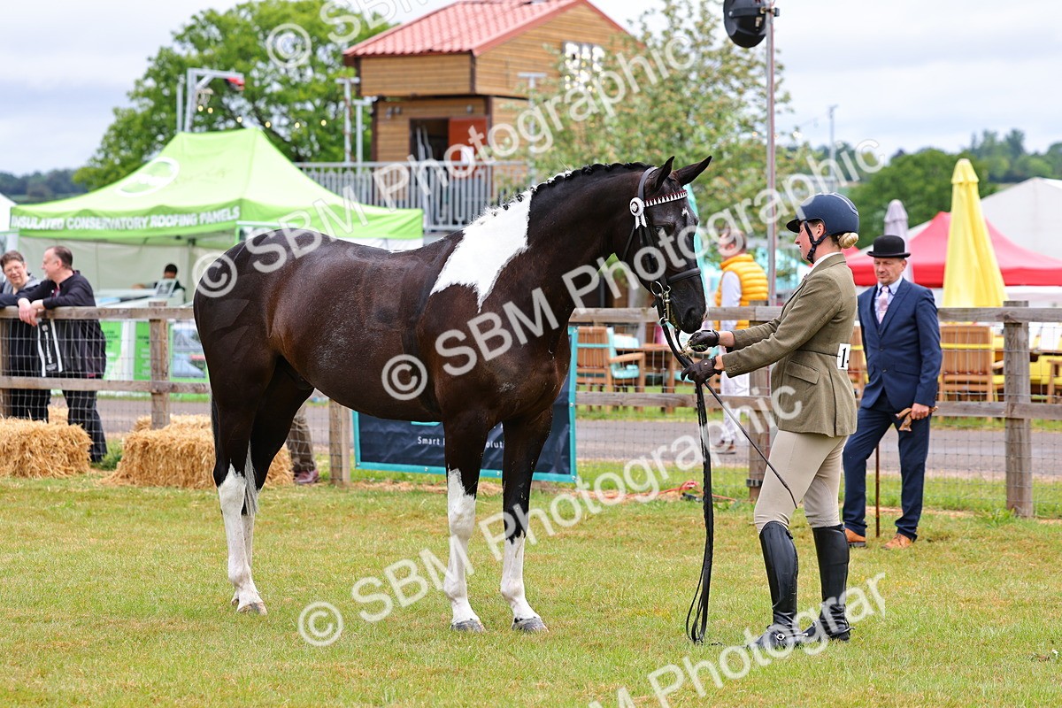 SBM_02538 - Class 9-11 Side Saddle including LIHS Rising Star Ladies Show Horse