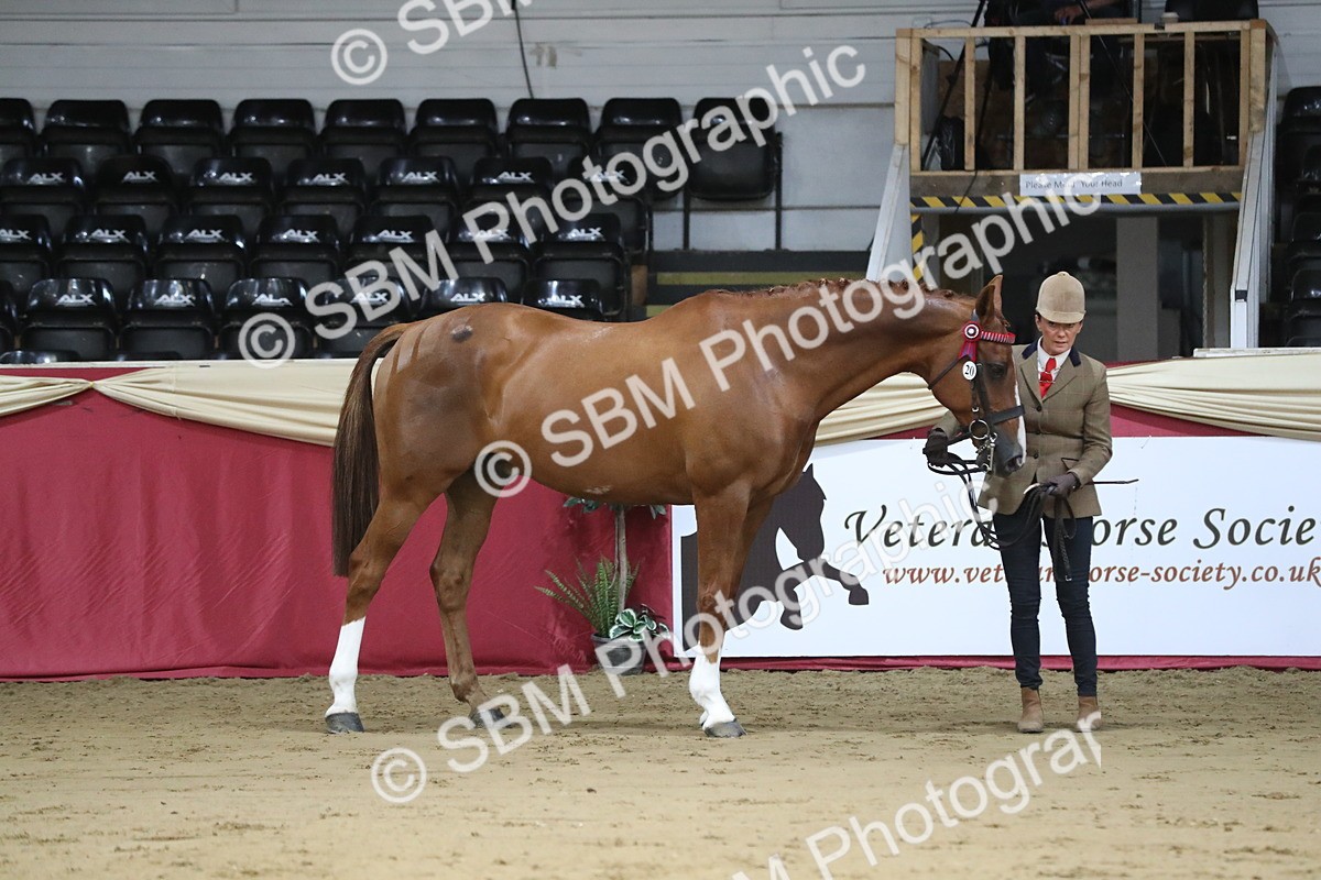 SBM_04963 - Class 8R- Regional -IH Veteran