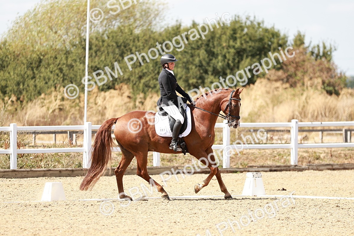 SBM_019280