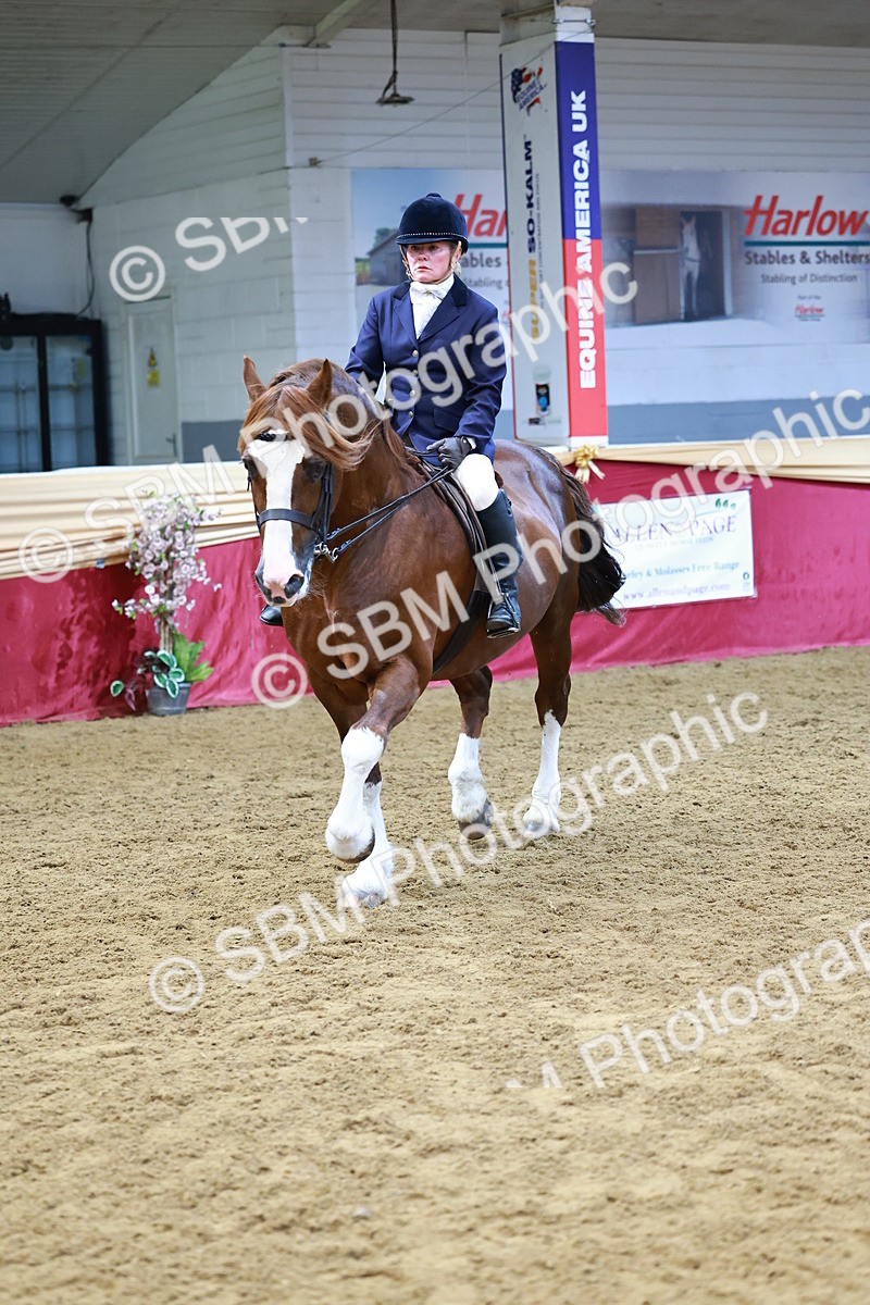 SBM_23411 - class 906 - Supreme Final - Ridden Pre Vet
