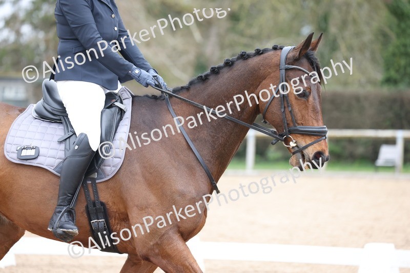 20260301-0403 - Class 3 - Novice 4