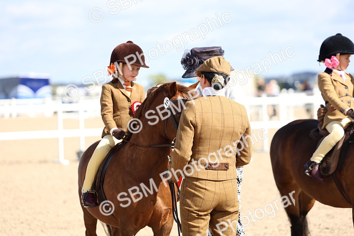 SBM_13111 - Class 309 - Lead Rein Pony