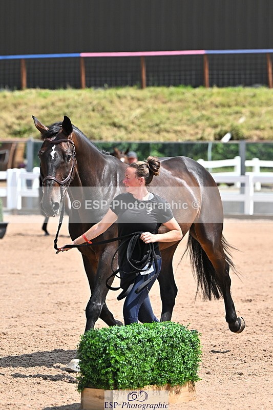 240718A-105300-01437 - Trot Up 12pm to 1pm